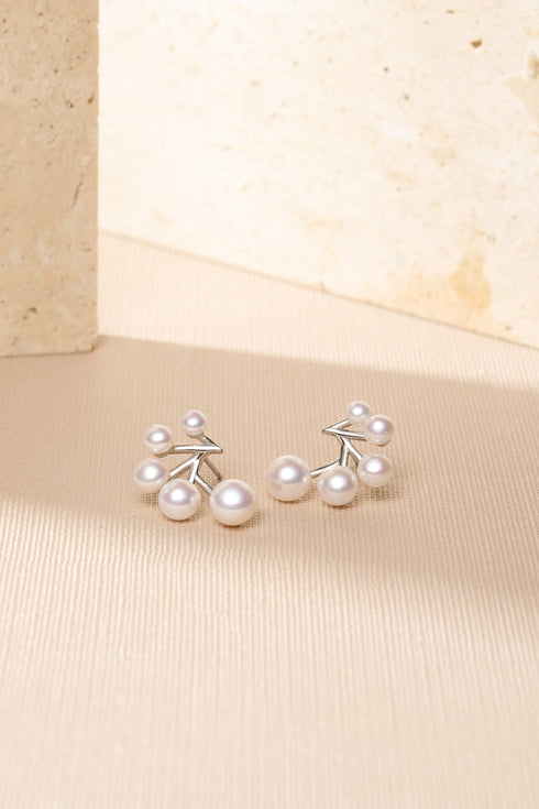 White Akoya Pearl Stars Earrings